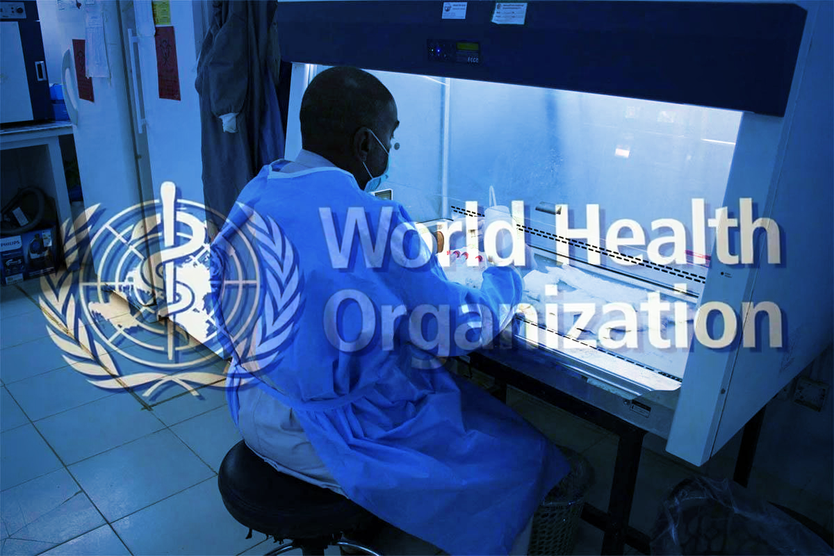 'High bio-hazard risk' in Sudan after laboratory seized, WHO says